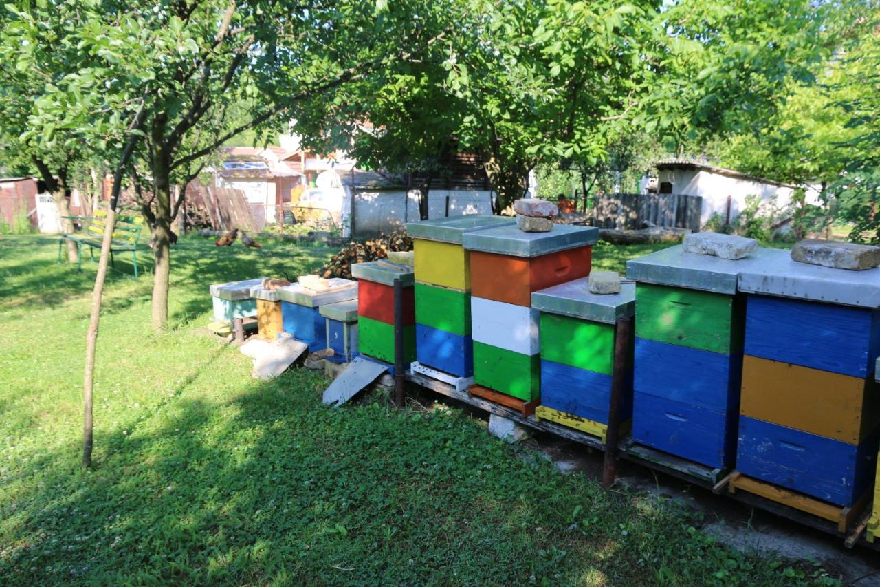 Apartman Rudnik Връдник Екстериор снимка